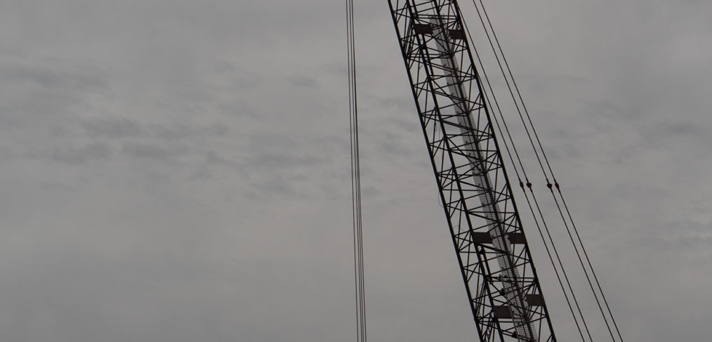 Crane in Gray